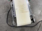Titan Industries Incline Conveyor